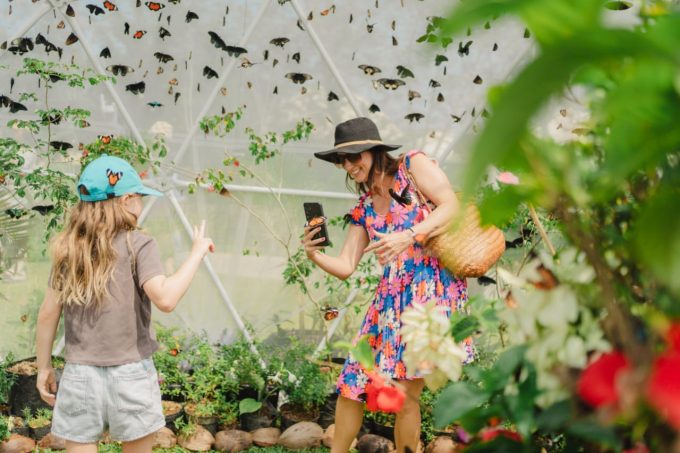 Photo: Nuanu: Nuanu Creative City Releases 5,000 Butterflies into Its Thriving Ecosystem.