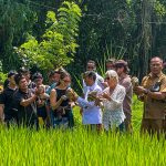 Foto Istimewa Bongkasa: Pelepasan simbolis delapan burung hantu jenis Tyto alba di Pura Dalem Wantilan, Desa Bongkasa.