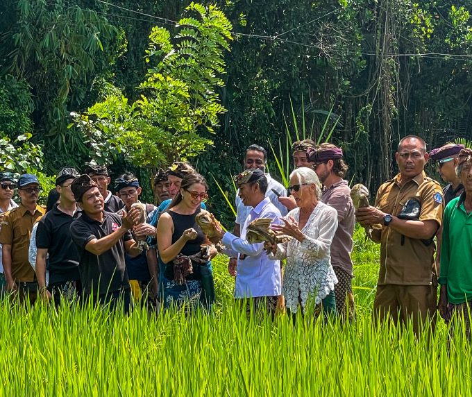 Foto Istimewa Bongkasa: Pelepasan simbolis delapan burung hantu jenis Tyto alba di Pura Dalem Wantilan, Desa Bongkasa.