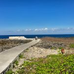 Foto Istimewa Nusa Dua: Revitalisasi Peninsula Island di The Nusa Dua terus dipercepat. Sejumlah fasilitas mulai rampung sebagai bagian dari transformasi kawasan menjadi ruang publik dan pusat penyelenggaraan event internasional.